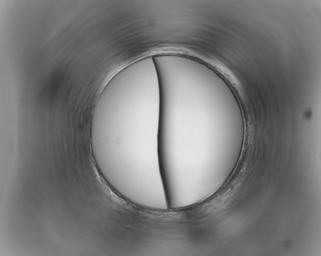 X0000090710953200707200948