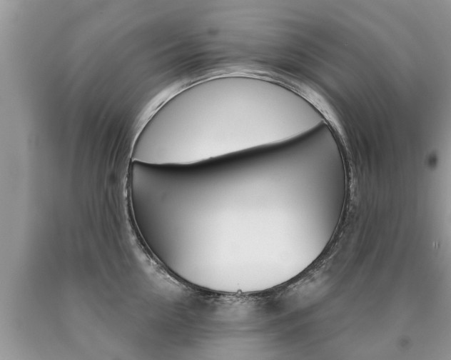 X0000090710954200707200948