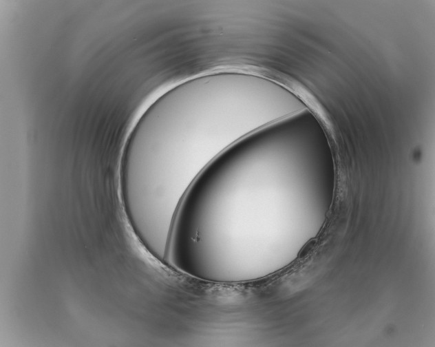 X0000090710955200707200948