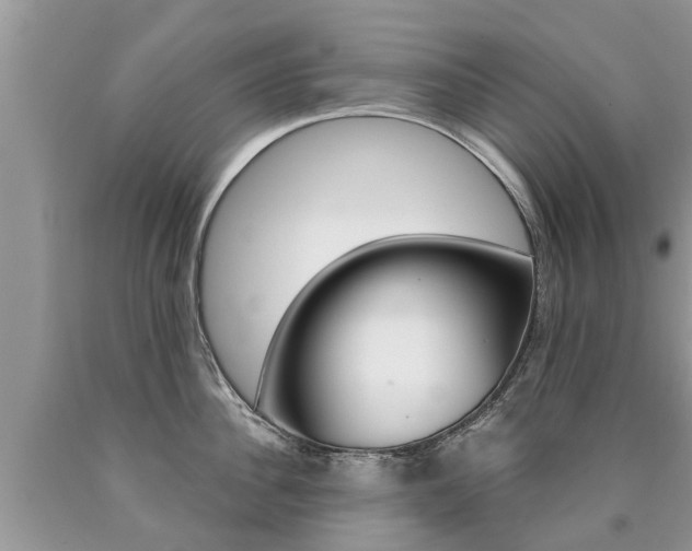 X0000090710956200707200948