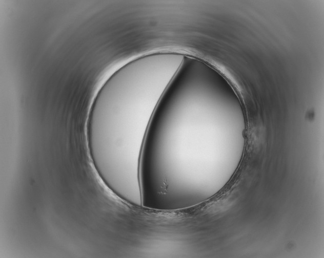 X0000090710959200707200948