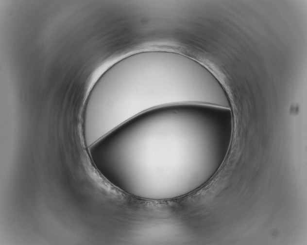 X0000090710960200707200949