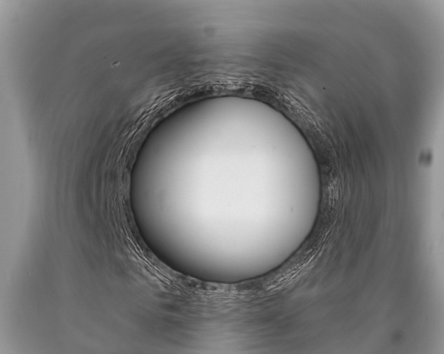 X0000090710961200707200948