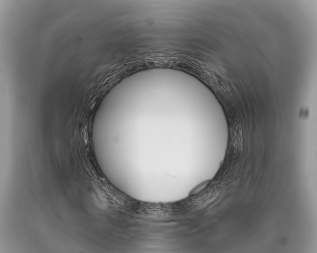 X0000090710962200707200948