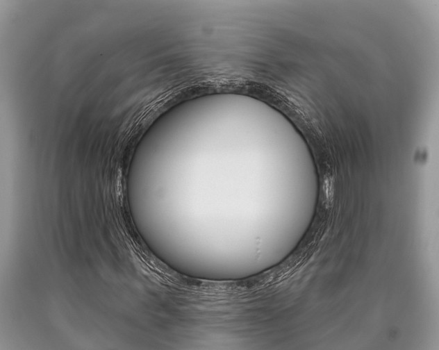 X0000090710963200707200948