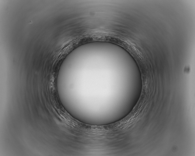 X0000090710964200707200948