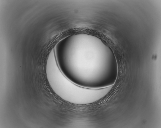 X0000090710965200707200948