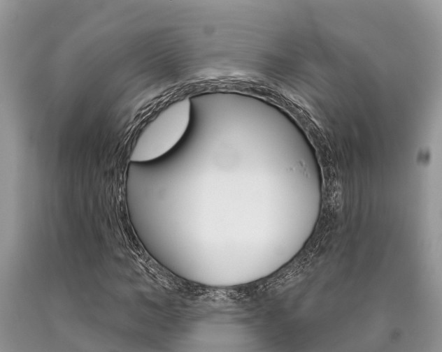 X0000090710966200707200948