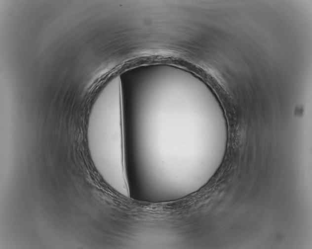 X0000090710967200707200948
