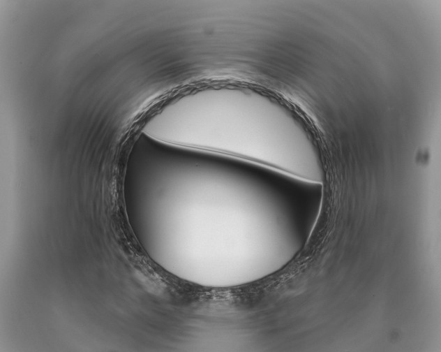 X0000090710968200707200948