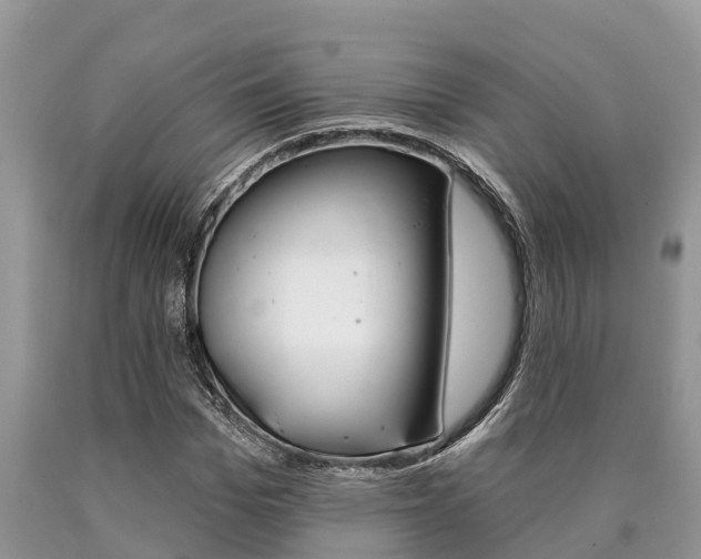 X0000090710969200707200948