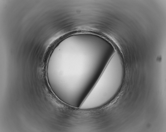 X0000090710971200707200948
