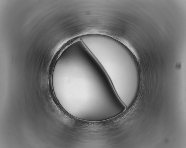 X0000090710972200707200948