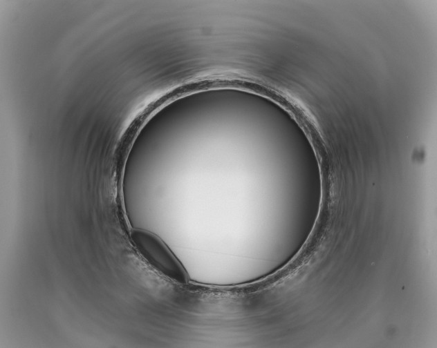 X0000090710973200707200948