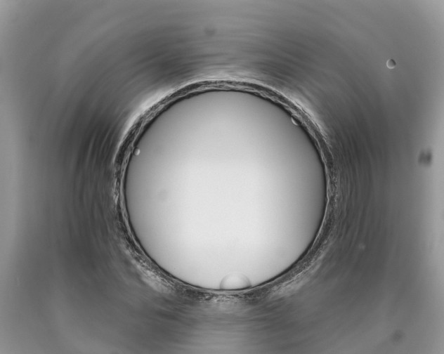 X0000090710974200707200948