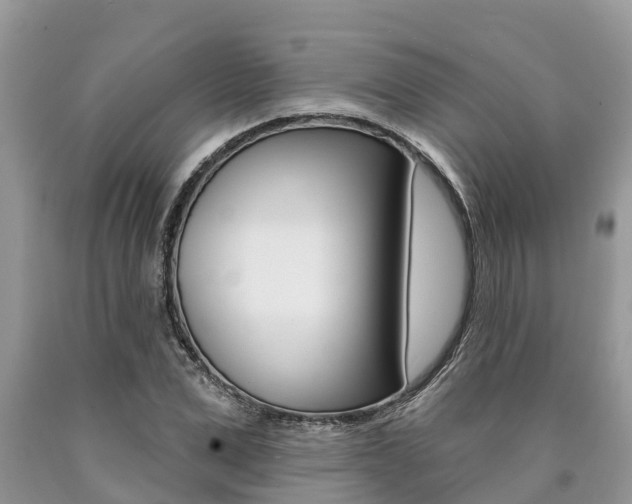 X0000090710975200707200948