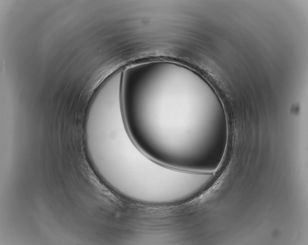 X0000090710977200707200948