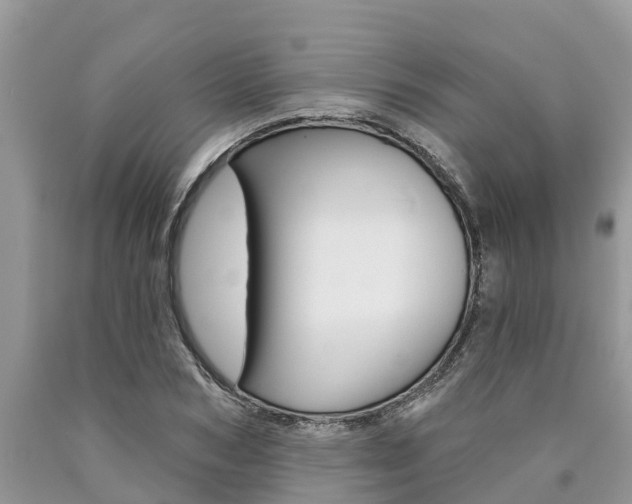 X0000090710978200707200948