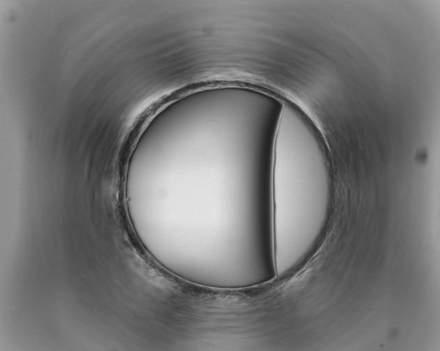 X0000090710979200707200948