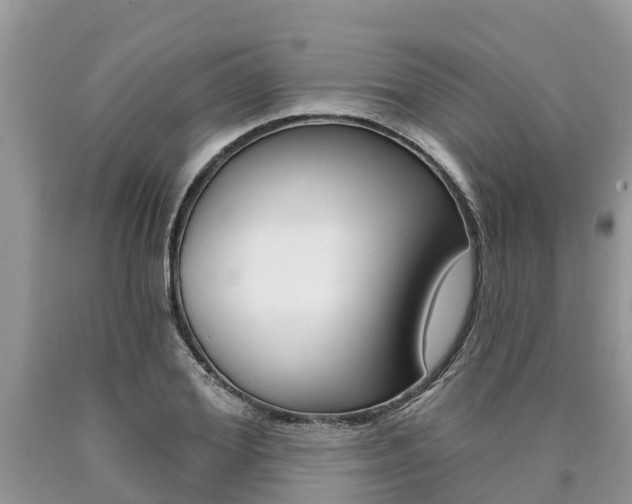 X0000090710980200707200948