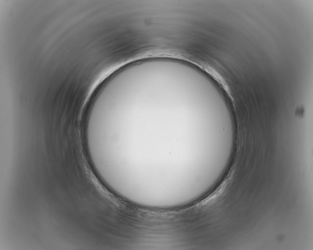 X0000090710981200707200948