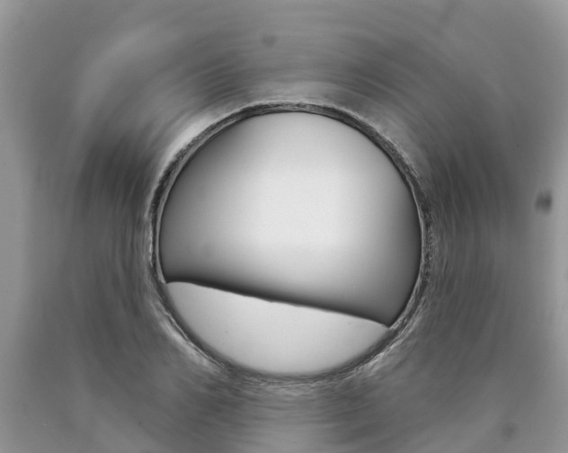 X0000090710982200707200948