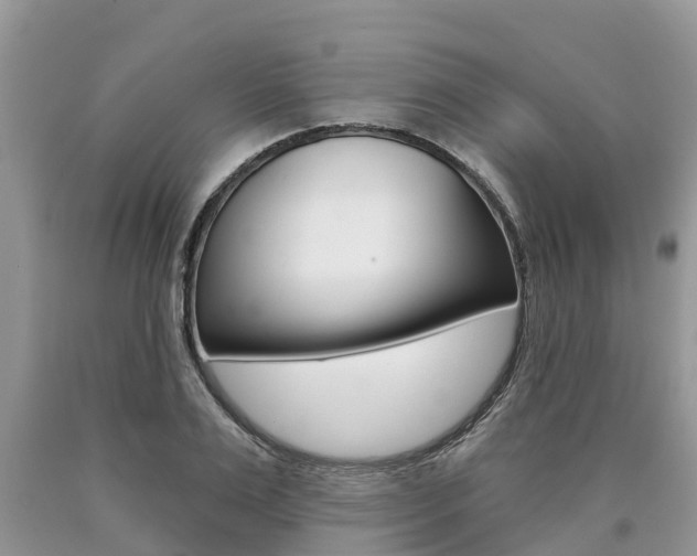 X0000090710983200707200948