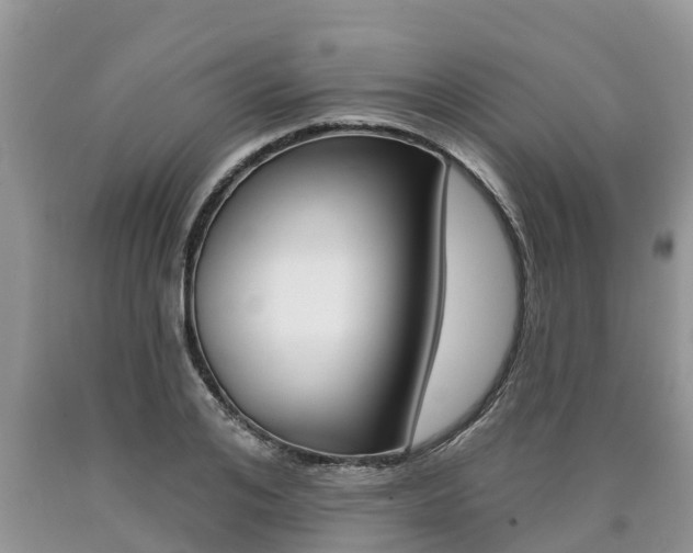 X0000090710984200707200948