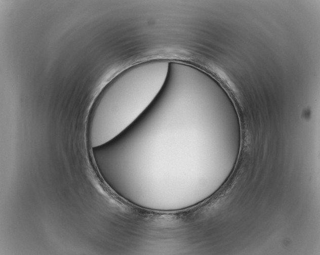 X0000090710986200707200947
