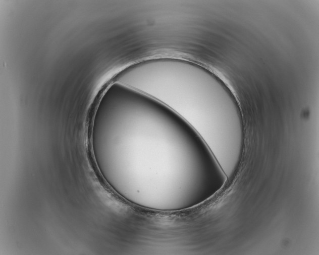 X0000090710987200707200947