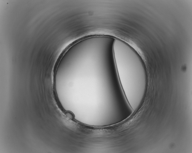 X0000090710988200707200947