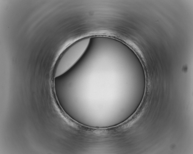 X0000090710989200707200947