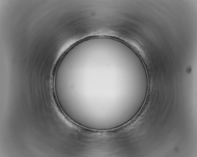 X0000090710990200707200947