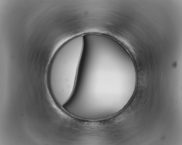 X0000090710991200707200947