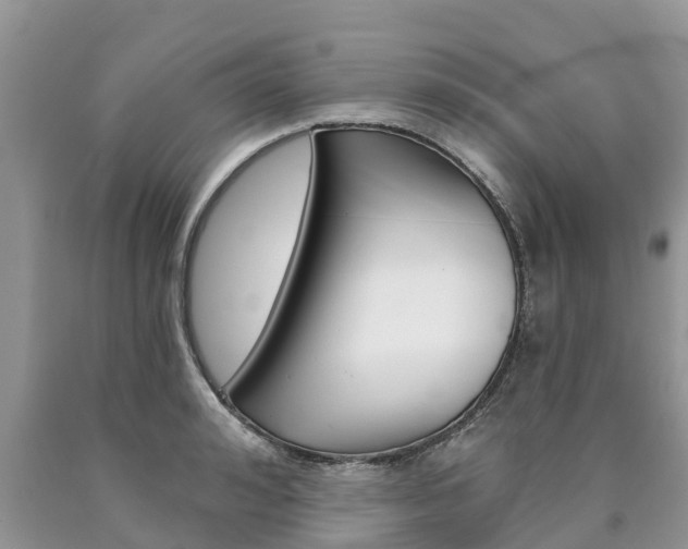 X0000090710992200707200947