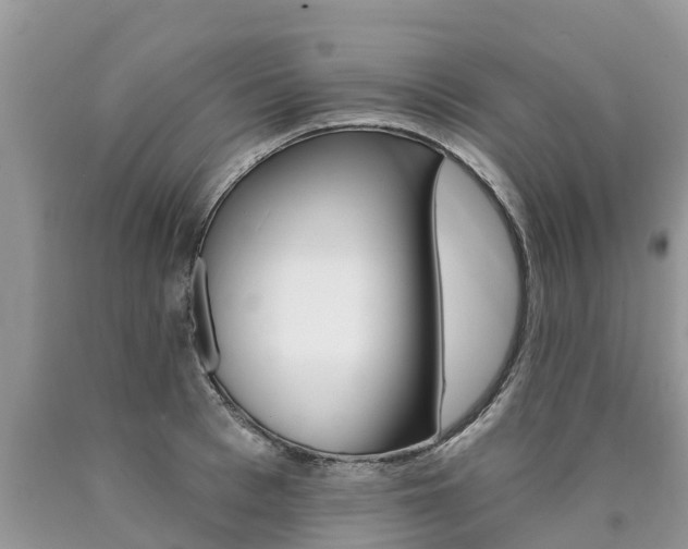 X0000090710993200707200947
