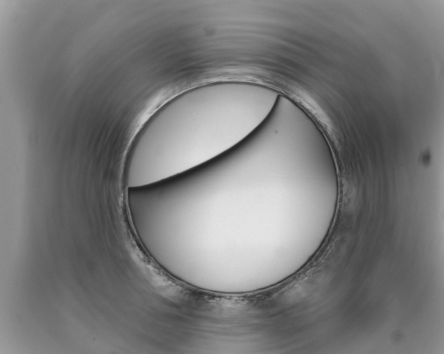 X0000090710994200707200947