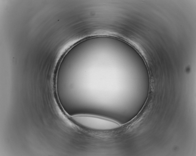 X0000090710995200707200947