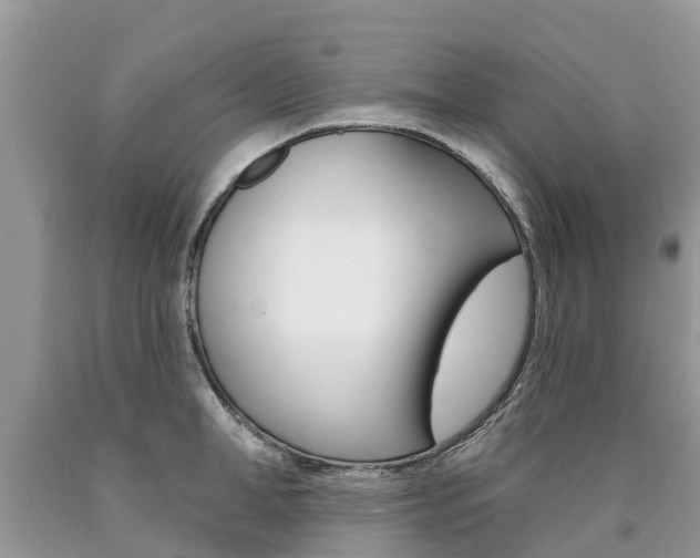 X0000090710998200707200947