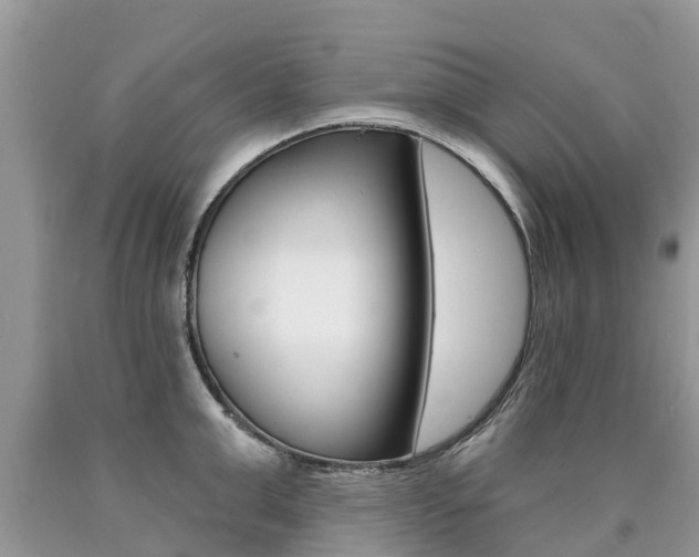 X0000090710999200707200947