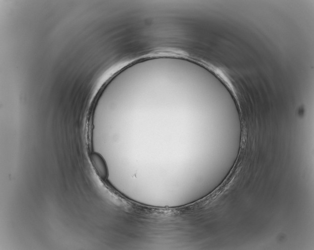 X0000090711003200707200947
