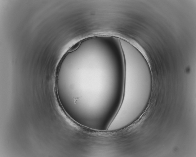 X0000090711005200707200947