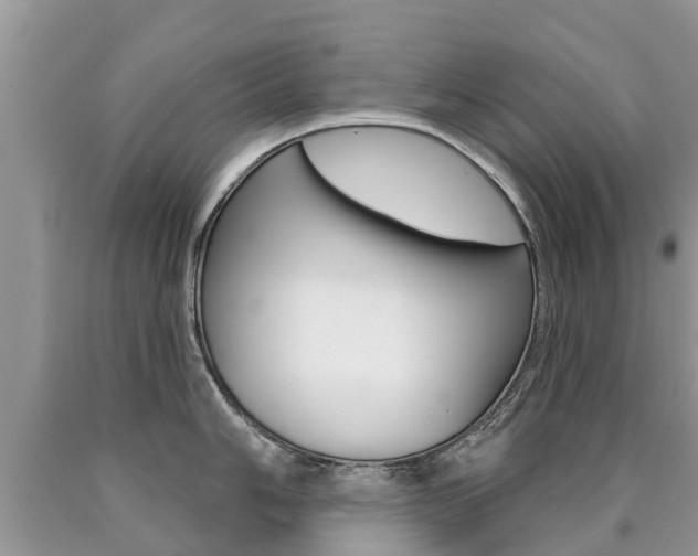 X0000090711006200707200947