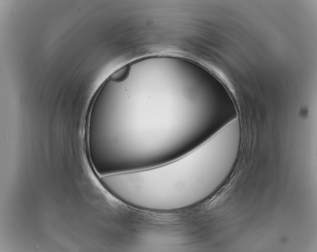X0000090711007200707200947