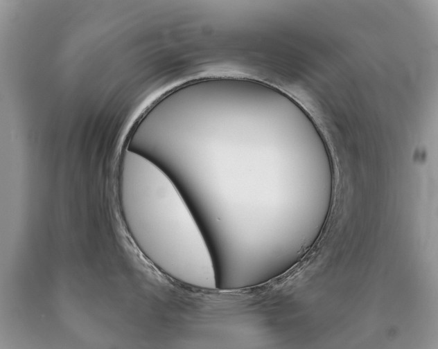 X0000090711008200707200947