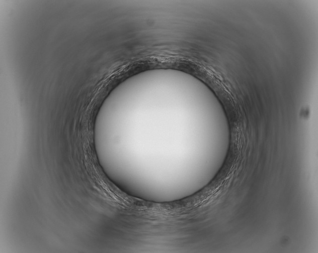 X0000090711009200707200946