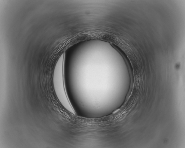 X0000090711010200707200946