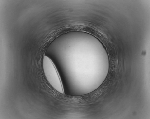 X0000090711013200707200946