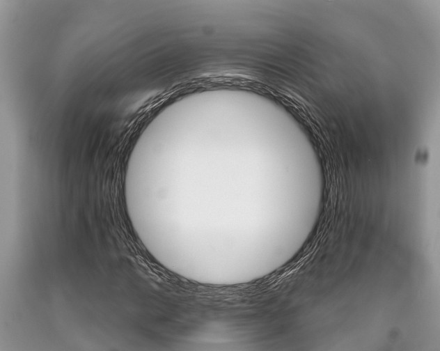 X0000090711014200707200946