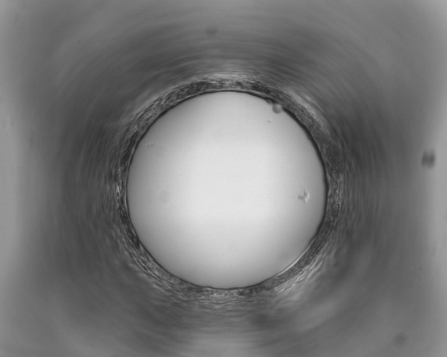X0000090711015200707200946